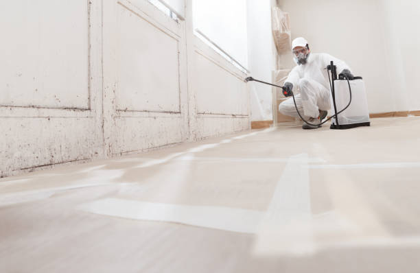 24/7 Emergency Black Mold Remediation experts in Goldsboro, NC